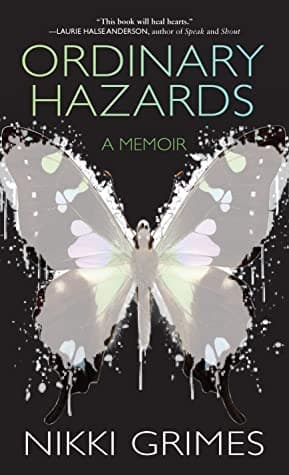 Cover of Ordinary Hazards