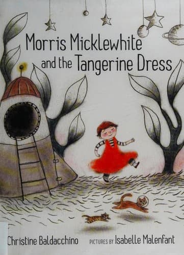 Cover of Morris Micklewhite and the Tangerine Dress
