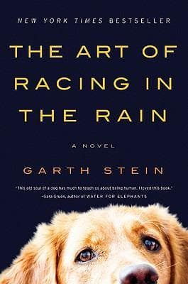 Cover of The Art of Racing in the Rain