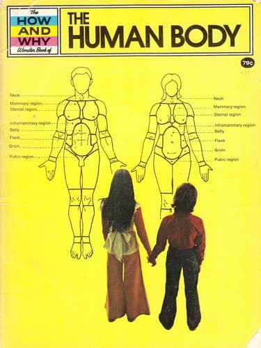 Cover of The How and Why Wonder Book of The Human Body