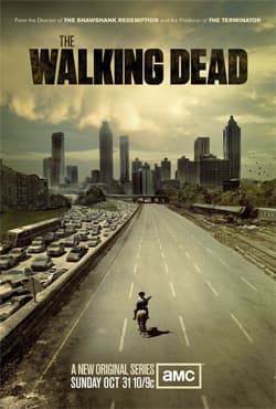 Cover of The Walking Dead: A Continuing Story of Survival Horror, Book 10
